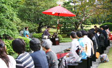京都市市民大茶会